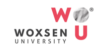 Woxsen Logo